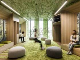 Коворкинг-зоны и цвета по временам года: какой будет вторая самая большая школа в Якутии