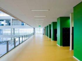 Коворкинг-зоны и цвета по временам года: какой будет вторая самая большая школа в Якутии