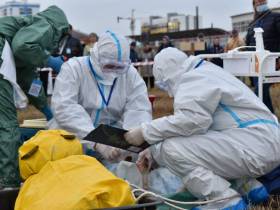 Учения по ликвидации очага африканской чумы свиней состоялись в Якутске