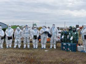 Учения по ликвидации очага африканской чумы свиней состоялись в Якутске