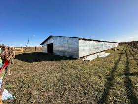 В Амгинском районе открыли площадку для откорма племенного скота