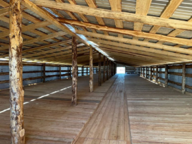 В Амгинском районе открыли площадку для откорма племенного скота