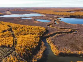 Россия расскажет о Плейстоценовом парке Якутии с международной трибуны ООН