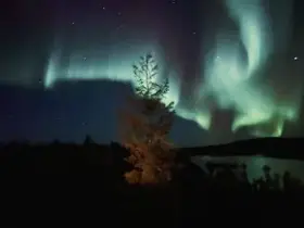 Россия расскажет о Плейстоценовом парке Якутии с международной трибуны ООН