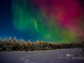 Переливы северного сияния засняли в окрестностях Якутска
