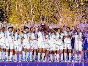 Посольство КНДР в Москве провело онлайн-выставку