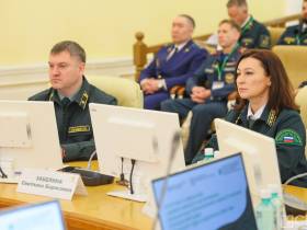 Якутия стала лидером по восстановлению лесов после пожаров среди регионов ДФО