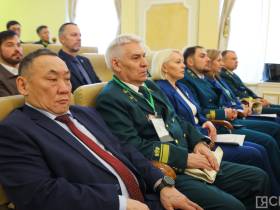 Якутия стала лидером по восстановлению лесов после пожаров среди регионов ДФО