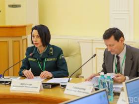 Якутия стала лидером по восстановлению лесов после пожаров среди регионов ДФО