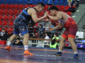 Четыре борца из Якутии завоевали золотые медали турнира Романа Дмитриева