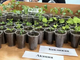 В Якутске начал работу фестиваль агрошкол республики