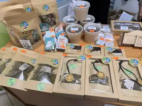 В Якутске начал работу фестиваль агрошкол республики