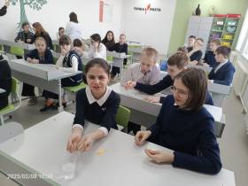 Нижнекуранахские гимназисты узнали о тонкостях профессии химика