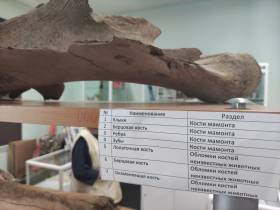 Что волнует жителей Ботуобуйинского наслега: отчет правительства