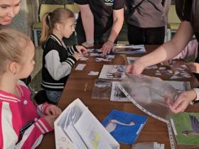 Определены победители районного онлайн-конкурса «Пернатый мир Якутии»