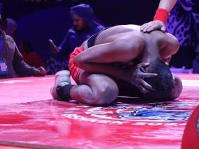 Итоги VI Чемпионата мира по мас-рестлингу среди мужчин и женщин