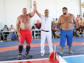 Чемпионат ВИК по мас-рестлингу проведен на высоте. Всем спасибо