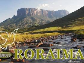 Современная история развития мас-рестлинга. Бразилия.