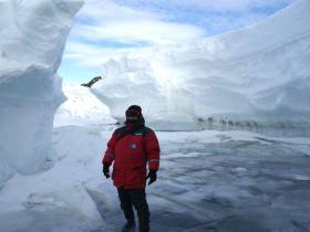 Полярники Антарктиды проведут турнир по мас-рестлингу