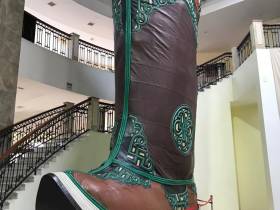 Монгольский мас-рестлинг открыт для всего мира