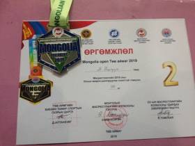 Монгольский мас-рестлинг открыт для всего мира