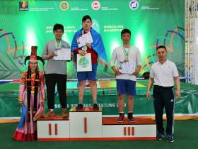 Монгольский мас-рестлинг открыт для всего мира