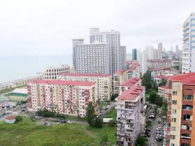 Мас-рестлинг на Центральном бульваре Батуми.